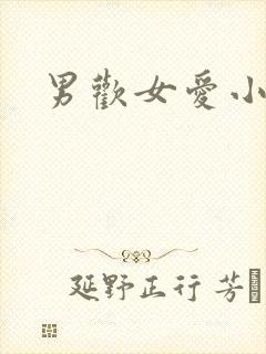 男欢女爱小说