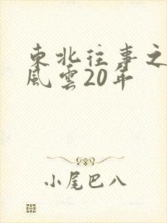 东北往事之黑道风云20年