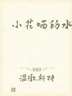 小花喵的水蜜桃