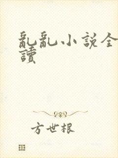 乱乱小说全文阅读