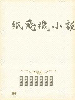 纸飞机小说