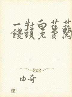 一对白花花的大馒头免费阅读