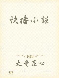 快播小说
