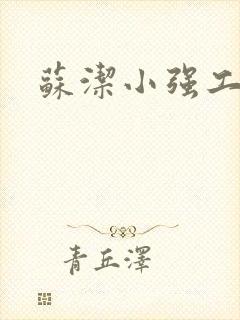 苏洁小强工地情