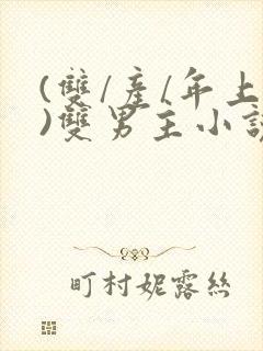 (双/产/年上)双男主小说