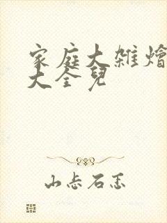 家庭大杂烩小说大全儿