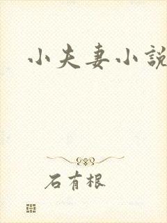 小夫妻小说