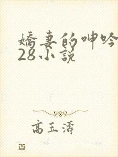 娇妻的呻吟1—28小说