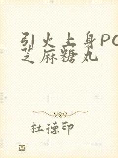 引火上身POP芝麻糖丸