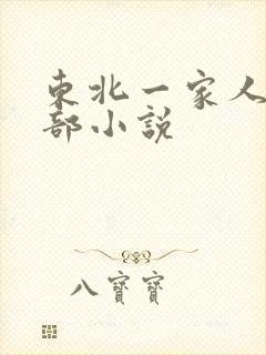 东北一家人第一部小说封面