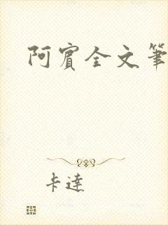 阿宾全文笔趣阁