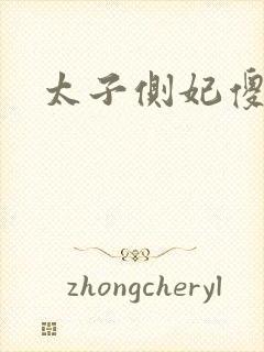 太子侧妃傻乎乎