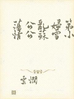荡公乱妇第1章情公苏雪小说