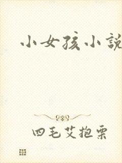 小女孩小说封面