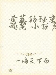 黄蓉的秘密 笔趣阁 小说免费阅读下载