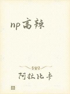 np高辣
