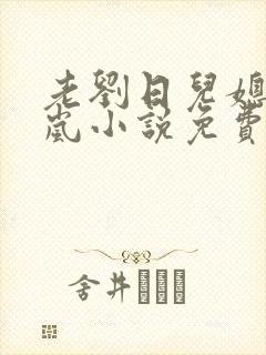 老刘日儿媳妇张岚小说免费阅读