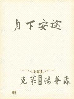 月下安途