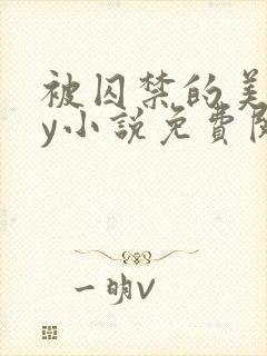 被囚禁的美人by小说免费阅读