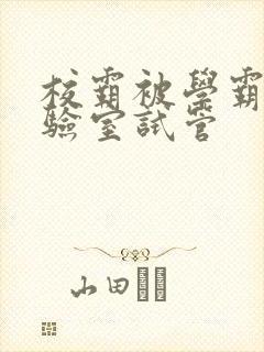 校霸被学霸压实验室试管