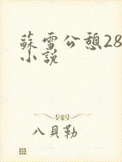 苏雪公憩28篇小说