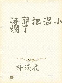 洛羿把温小辉做烂了