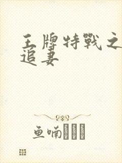 王牌特战之军少追妻封面