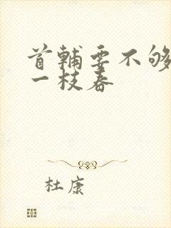 首辅要不够po一枝春