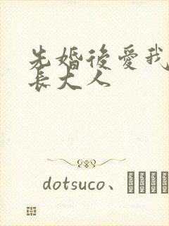 先婚后爱我的市长大人