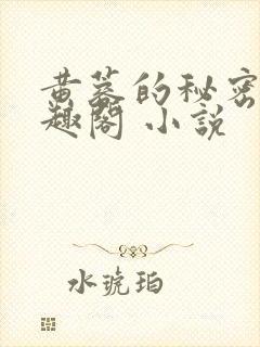 黄蓉的秘密 笔趣阁 小说