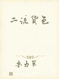 二流货色