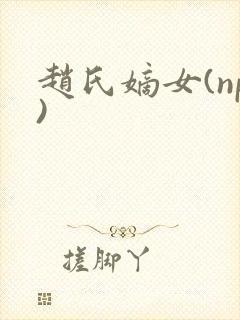 赵氏嫡女(np)