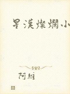 星汉灿烂小说