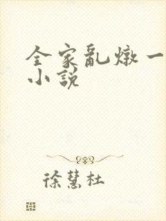 全家乱炖一锅烩小说