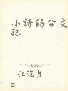 小诗的公交车日记