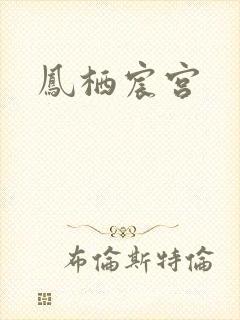 《凤栖宸宫》小说封面