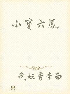 小宝六凤封面