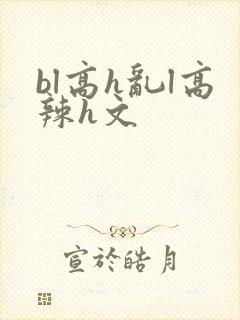 bl高h乱l高辣h文