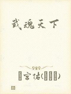 武魂天下