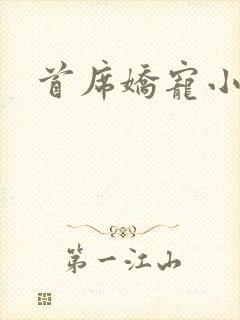 首席娇宠小情人