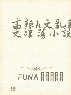 高辣h文乱乳h文浪荡小说苏柔