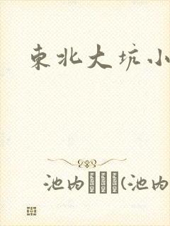 东北大坑小说
