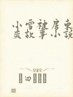 小雪被房东的好爽故事小说