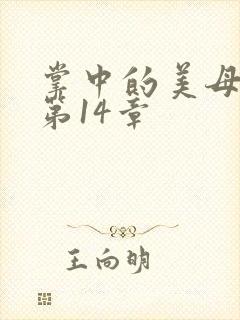 掌中的美母版主第14章