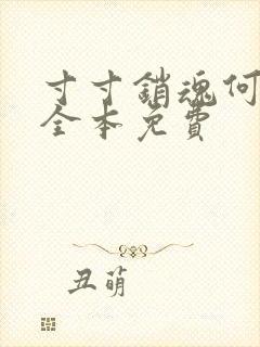 寸寸销魂何生祥全本免费