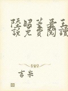 陆昭菱晋王的小说免费阅读