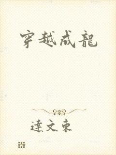 穿越成龙