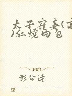 太子宠妾(高肉)红烧肉包