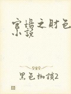 官场之财色诱人小说