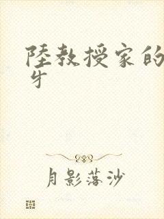 陆教授家的小月牙